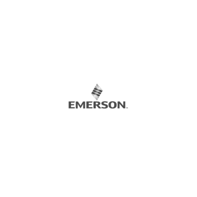 Emerson-P-Resident Engineer Service for Instruments